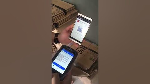 Caribe PL-40L QR Code Scanning2