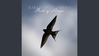 Bird of Passage (Solo Version)