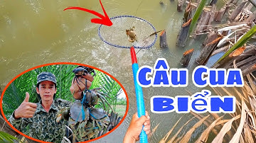 188 | Câu Cua Dính Hàng Khủng | sea ​​crab fishing