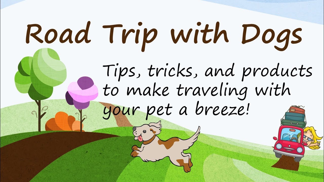 Road Trip with Dogs Travel Tips YouTube