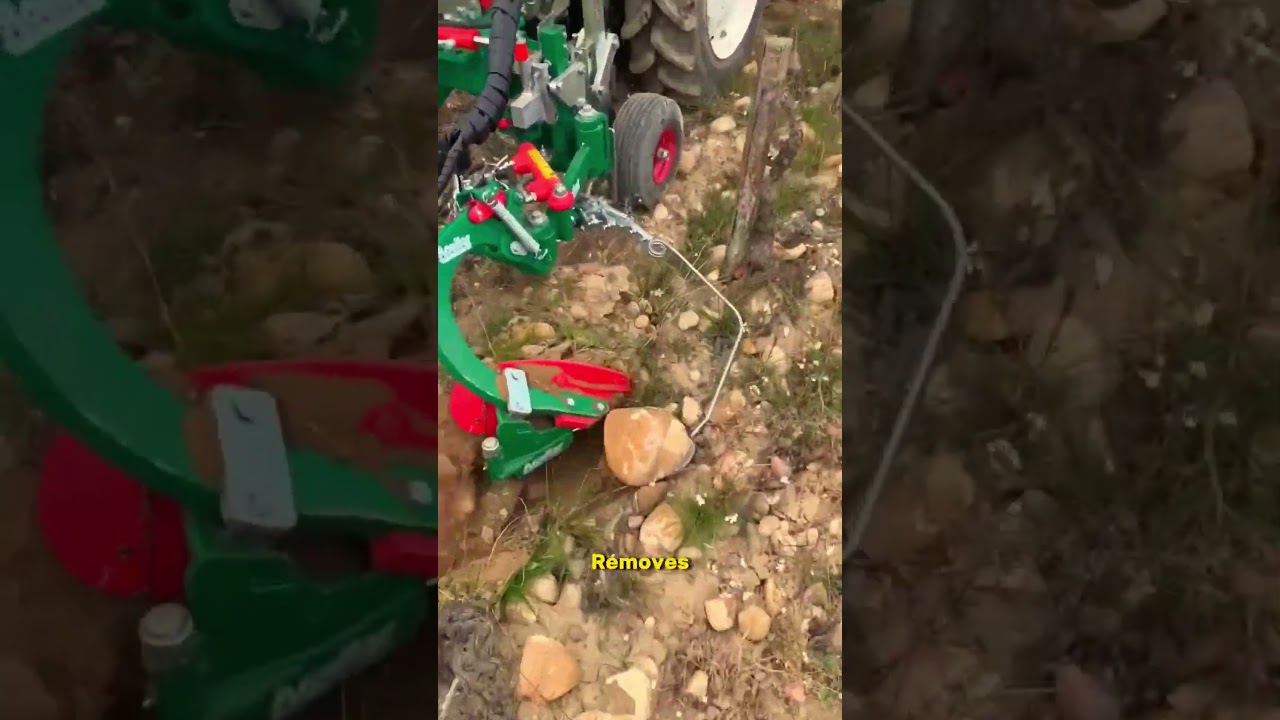 I Tried InRow Cultivation For 30 Days And Saw AMAZING Results 