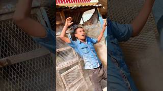 Dangerous Fight Scene – Ek Baar Dekh Liya To Bhool Nahi Paoge #shortfilm #youtubeshorts
