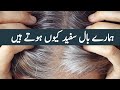 The shocking secrets behind premature grey hair revealed  binaaz blog