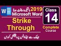 Class 14 | How to Use Strikethrough Effectively | MS Word 2019 Complete Course