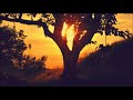 summer never ends 053 progressive house mix carry on mates edition