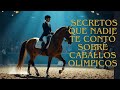 🔴 Cuidado extremo: secretos que nadie te contó sobre caballos olímpicos 🐎🔥