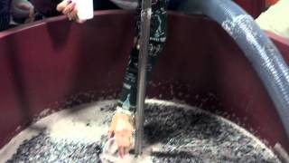 Winemaking Part 4 - Sugar Content