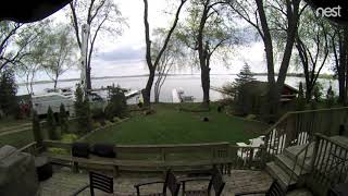 Removing Old Silver Maples - Timelapse