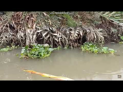 დენის აპარატით თევზაობა არ შეიძლება ამათი დედაც მოვტყან | denis aparatit tevzaoben es proChebi