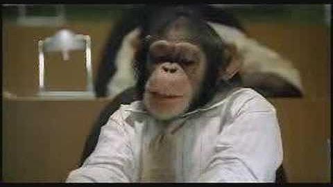 CareerBuilder.com: Monkey Business (Powerpoint Presentation)