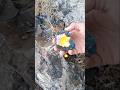 #Gold Treasures from Earth | Beautiful Natural #Crystal Stones
