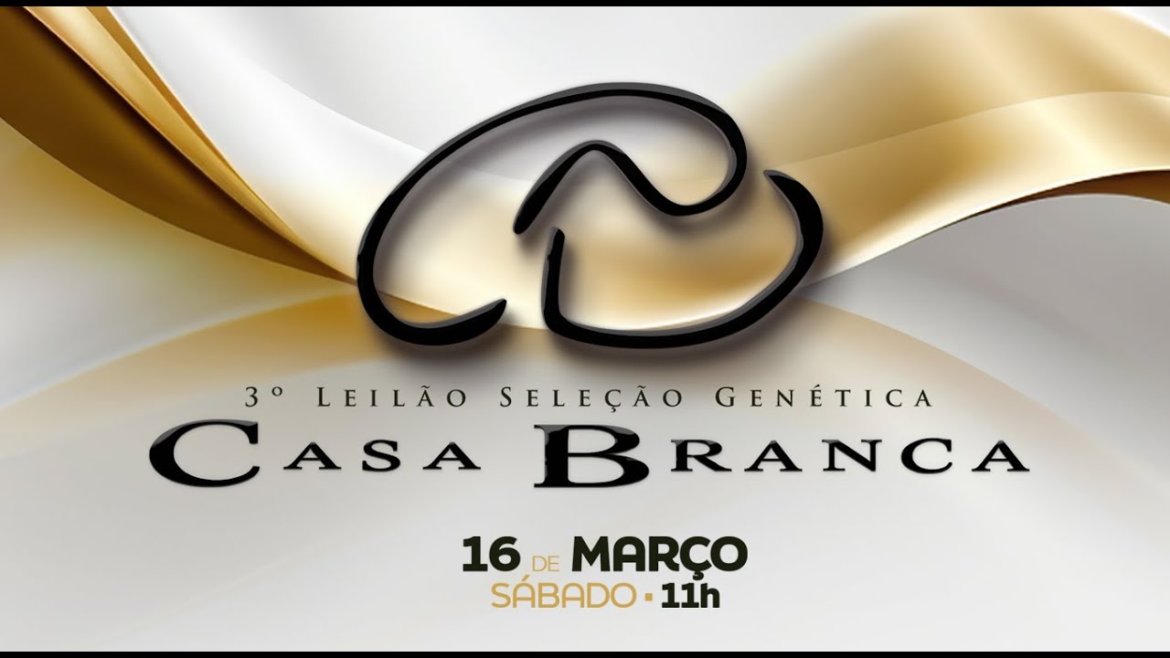 Lote 66 (Princesa FIV Desygn Móveis - DESY 6)