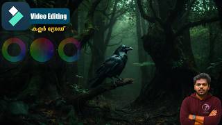 What is the Importance of colour grading in a film colour grading and music combination in film