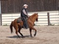 24/7 Horses - Trainingsstall Leuthenmühle