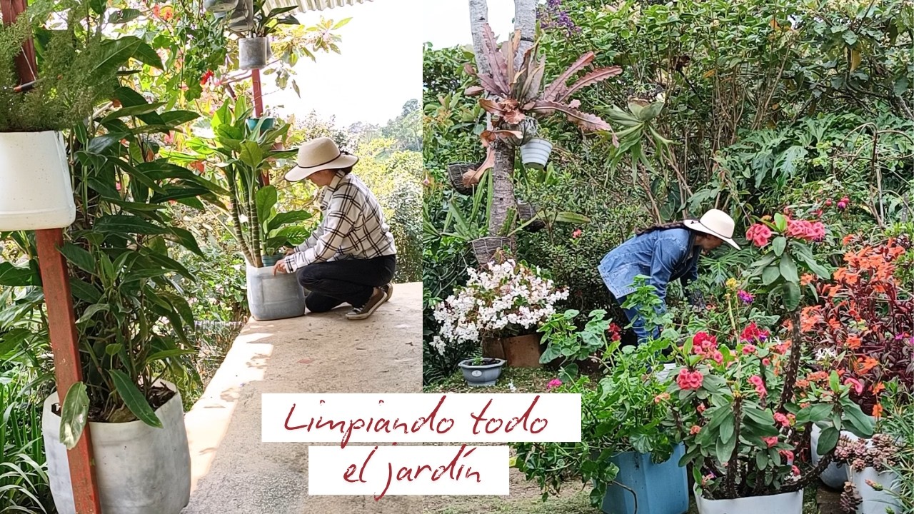 Haciendo mantenimiento a todo el jardín: Limpiando, depurando y lavando | Jardín Diaz