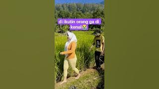 PULLED TO THE RICE FIELDS #gemoy #villagewidow #newestbodorsunda #ricefields #cute