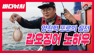 [4K] 양진혁의 갑오징어 낚시 노하우 - 채비운영, 끝보기, 가지채비 등