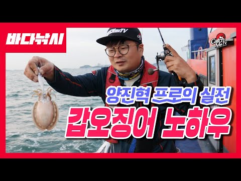 [4K] 양진혁의 갑오징어 낚시 노하우 - 채비운영, 끝보기, 가지채비 등