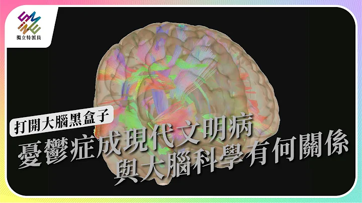 忧郁症成现代文明病，与大脑科学有何关系｜打开大脑黑盒子｜公视 #独立特派员 第798集 20230426 - 天天要闻