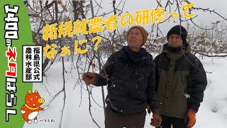 新規就農者のための研修をご紹介