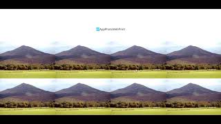 Kasper Template Website