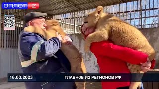 🦁ЧЕМ СЕГОДНЯ ЖИВЕТ МАРИУПОЛЬСКИЙ ЗООПАРК?