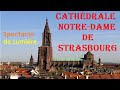 La cat.rale notredame de strasbourg spectacle de lumire       