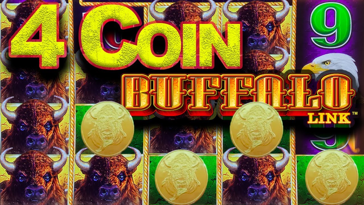 4 COIN BLESSING!! Live Slot Play on Buffalo Link at Cache Creek