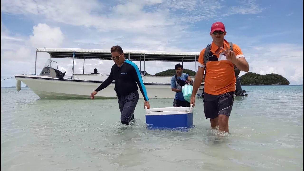 Rock Island Tour | Palau 2020