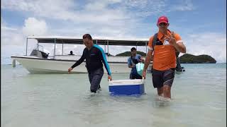 Rock Island Tour | Palau 2020