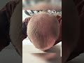 4-Monats-Special 😎🔥 Das ist der Daily Hair Growth Progress im vierten Monat 🫪🪄✨