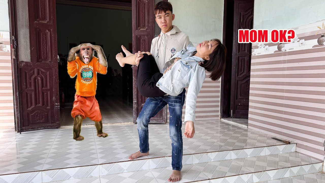 Monkey ABU calls for help when Mom faints!