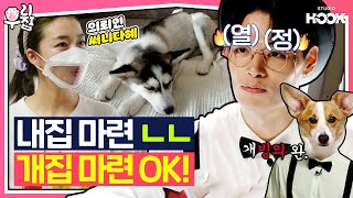 [#우리집 1화][ENG] "정혁 집사 방 하나 줍쇼" 내집 마련은 못해도 '개집 마련'은 삽가능-⭐ 첫 번째 의뢰인이 써니다혜?! screenshot 5