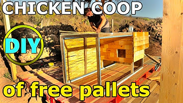 How to Build a DIY Chicken Coop With Free Pallets and Recycled Material