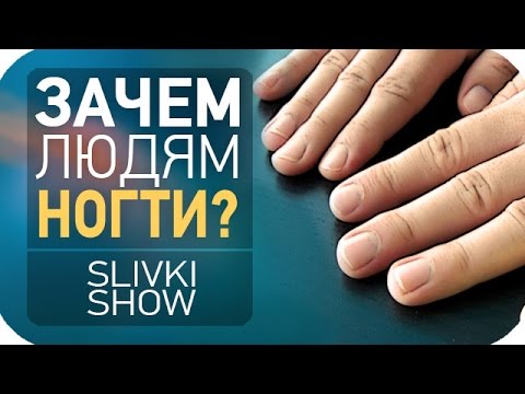 Зачем людям ногти? [SLIVKI SHOW]