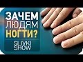 Зачем людям ногти? [SLIVKI SHOW]