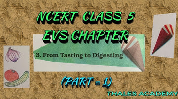 NCERT CLASS 5 EVS CHAPTER 3 - TASTING TO DIGESTING (PART - 1)
