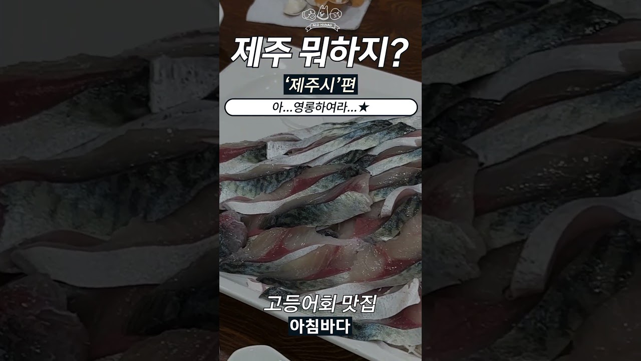 제주도민 피셜 유명해지면 안되는 고등어회 맛집 '아침바다' #shorts