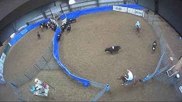 Big Sky Ranch Sorting Saddle Series #4 - #8 HC RANCH HAND (2 CAP SORTER) - Round #1 - Ride #16