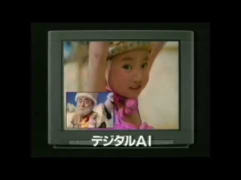 パナソニック　画王　津川雅彦　流石組レイナ　懐かCM　1992年6月　National/Panasonic　TH-29VS25