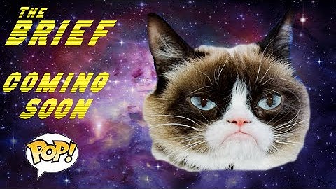 UPCOMING Funko POP!| Grumpy Cat| The Brief