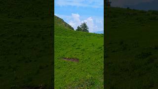 Sangad Gali short video#foryou #travel #unfrezzmyaccount #information