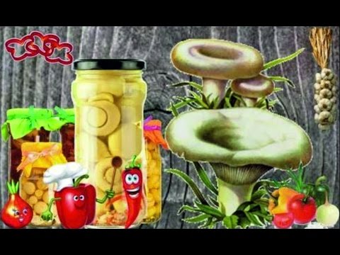 Маринованные грузди видео