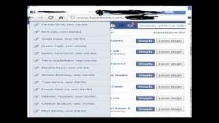 Auto Like Facebook 2013 Get 300 Likes (facebook auto like 2013)