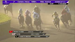 Vidéo de la course PMU PREMIO MISTER PIPA