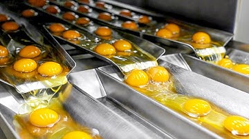 Most Amazing Machines Operating At An INSANE LEVEL ▶ 5