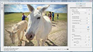 how to do fake fisheye effect in Adobe Photoshop