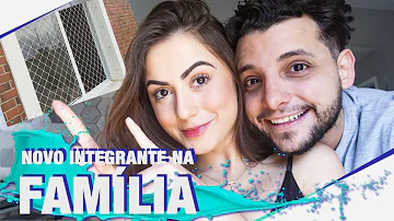 Quanto custa tela para gatos?
