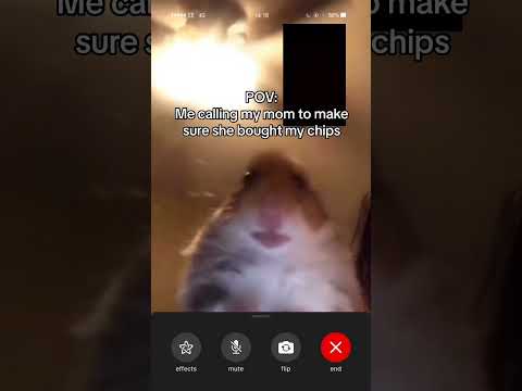 Hamster Calling Meme #TheManniiShow.com/series