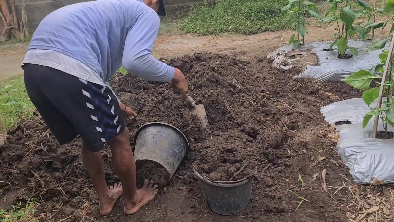Techniques for Moving Soil for Gardens — Agriculture Farming